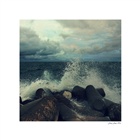 dailyPhoto2